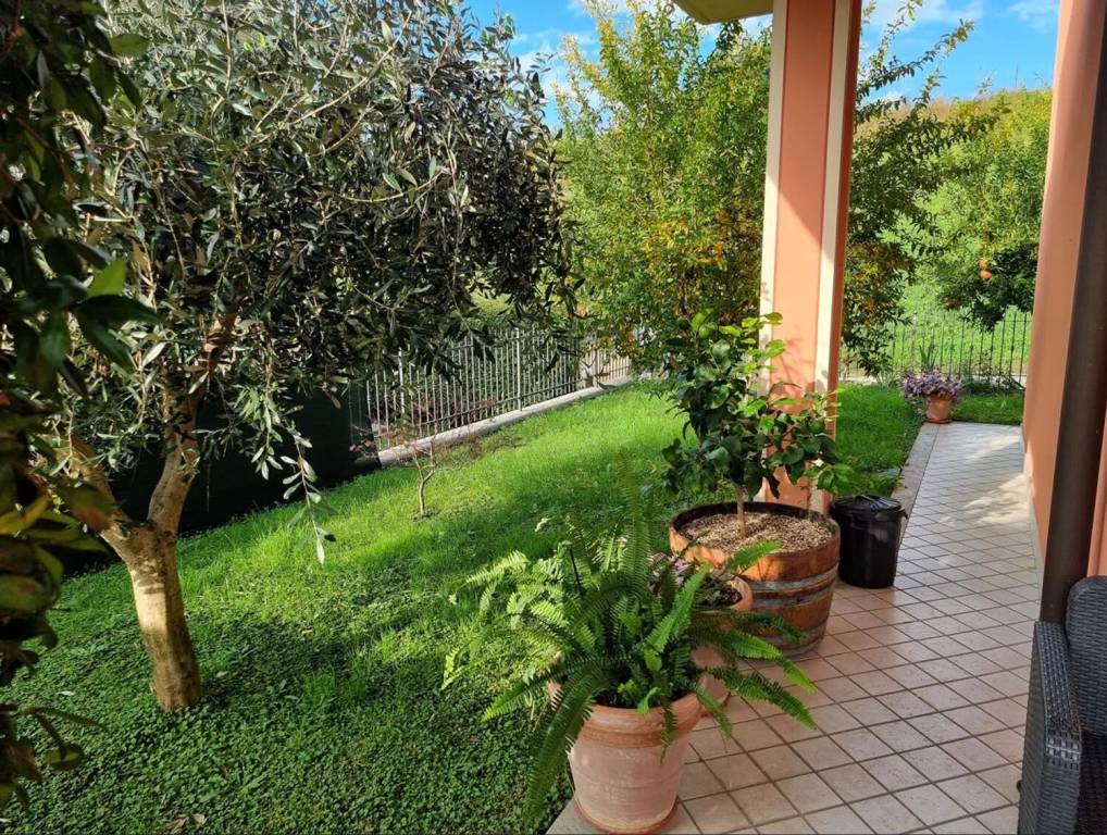 immagine annuncio 1 di 15