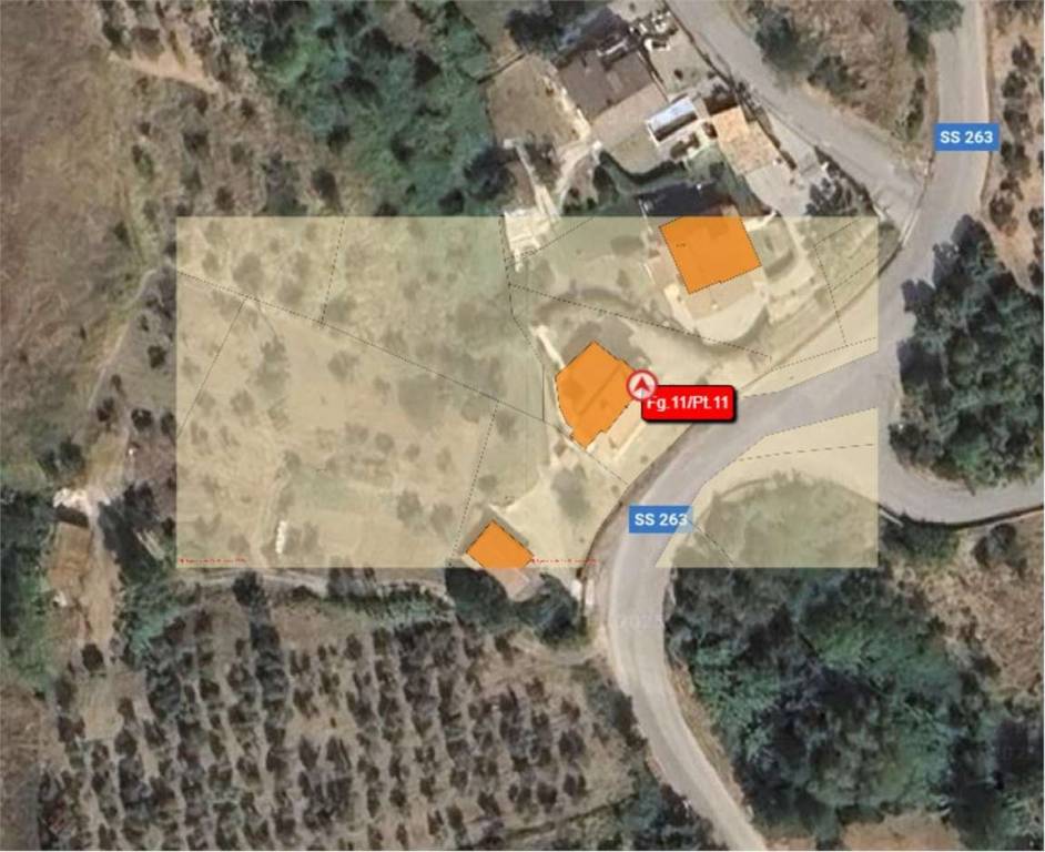 immagine annuncio 2 di 12