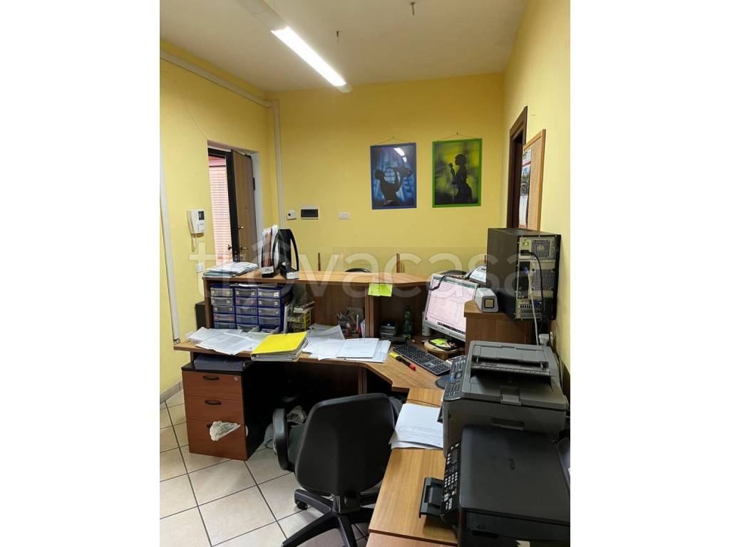 immagine annuncio 5 di 11