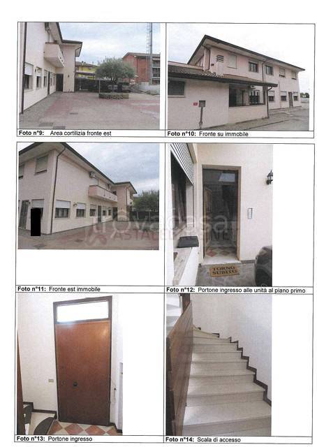 immagine annuncio 1 di 8