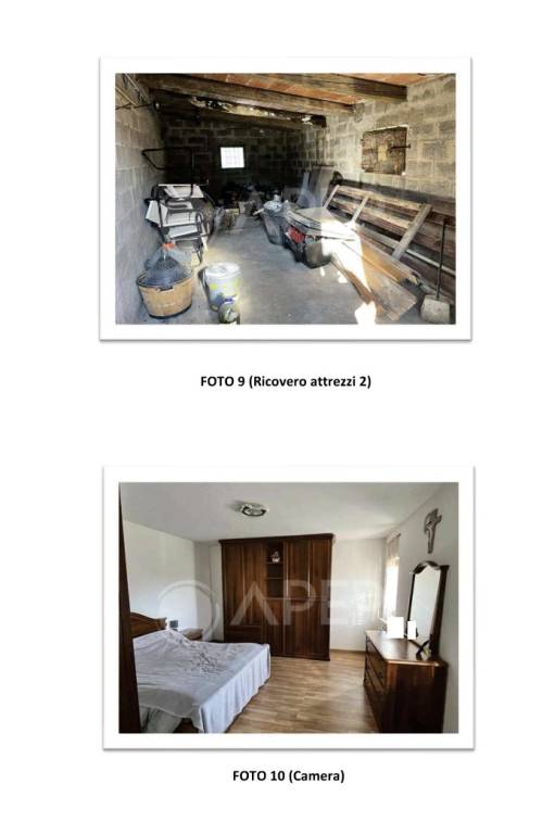 immagine annuncio 4 di 6