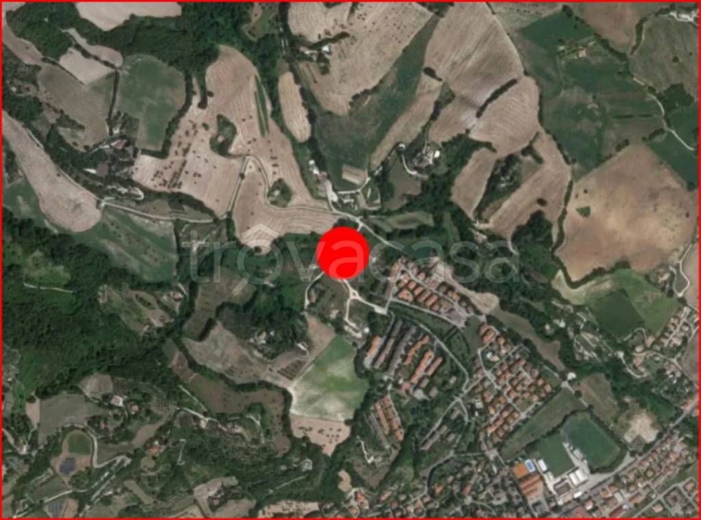 immagine annuncio 11 di 12