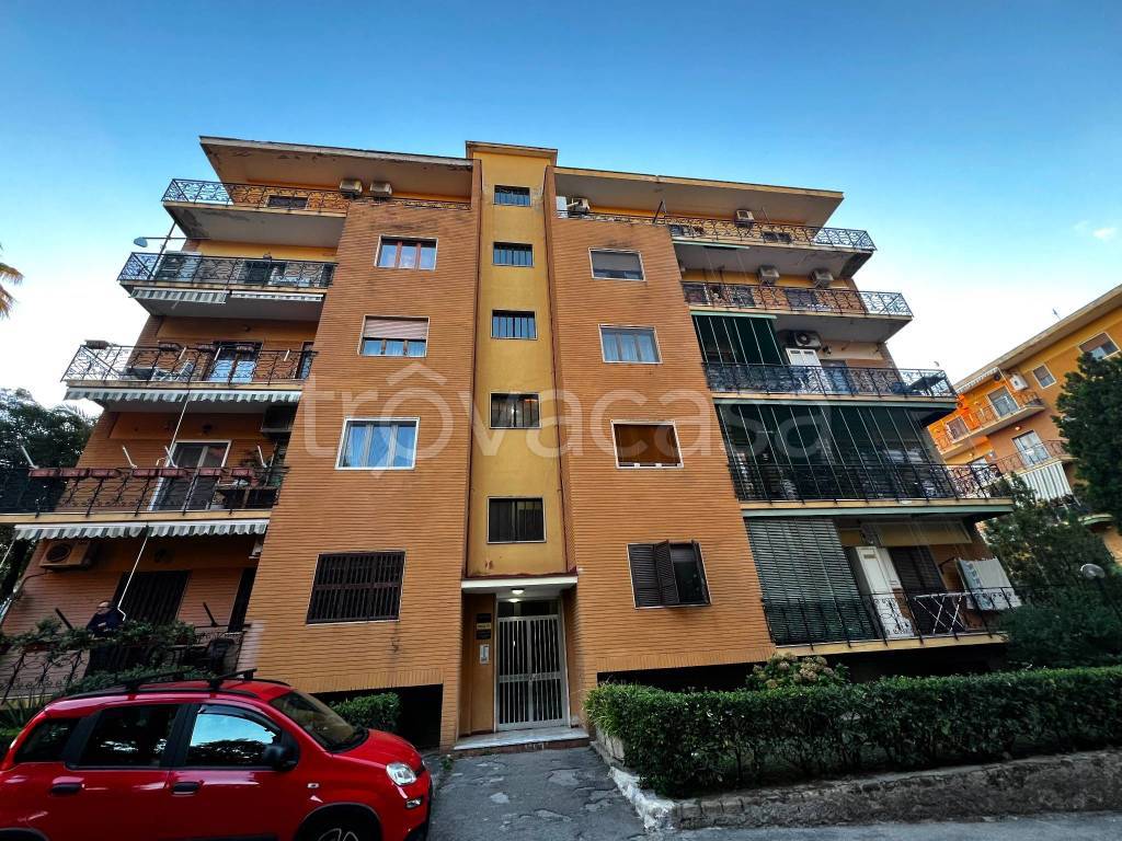 immagine annuncio 5 di 6