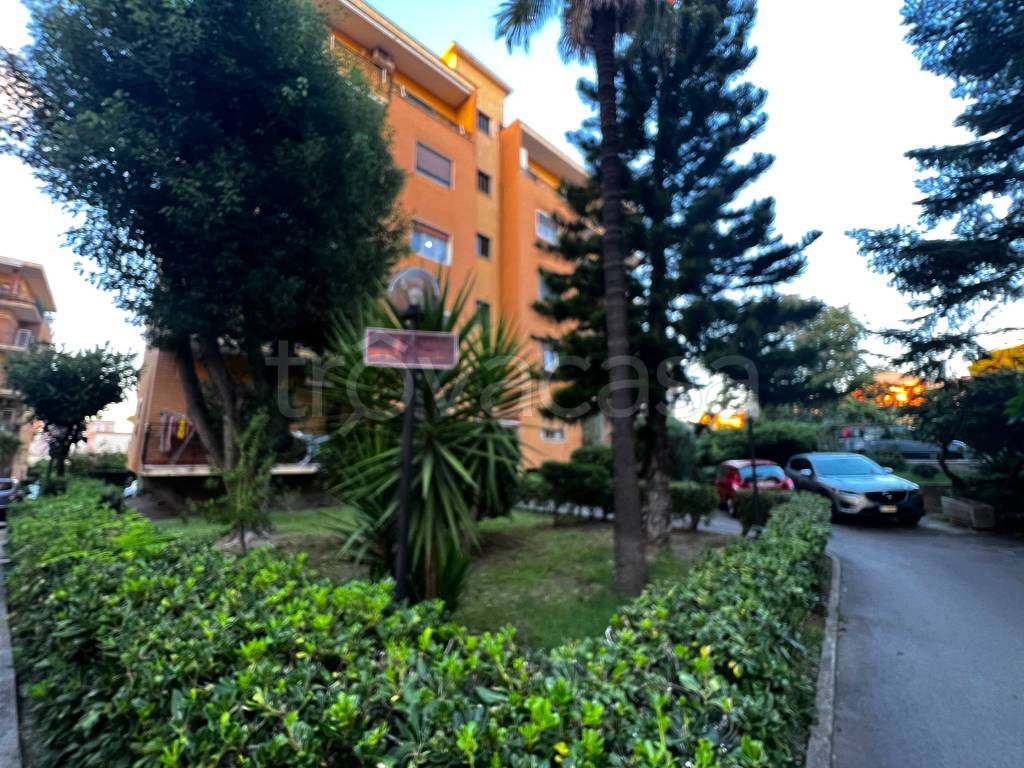 immagine annuncio 2 di 6