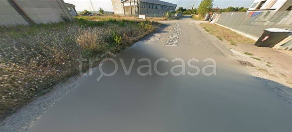 immagine annuncio 10 di 12
