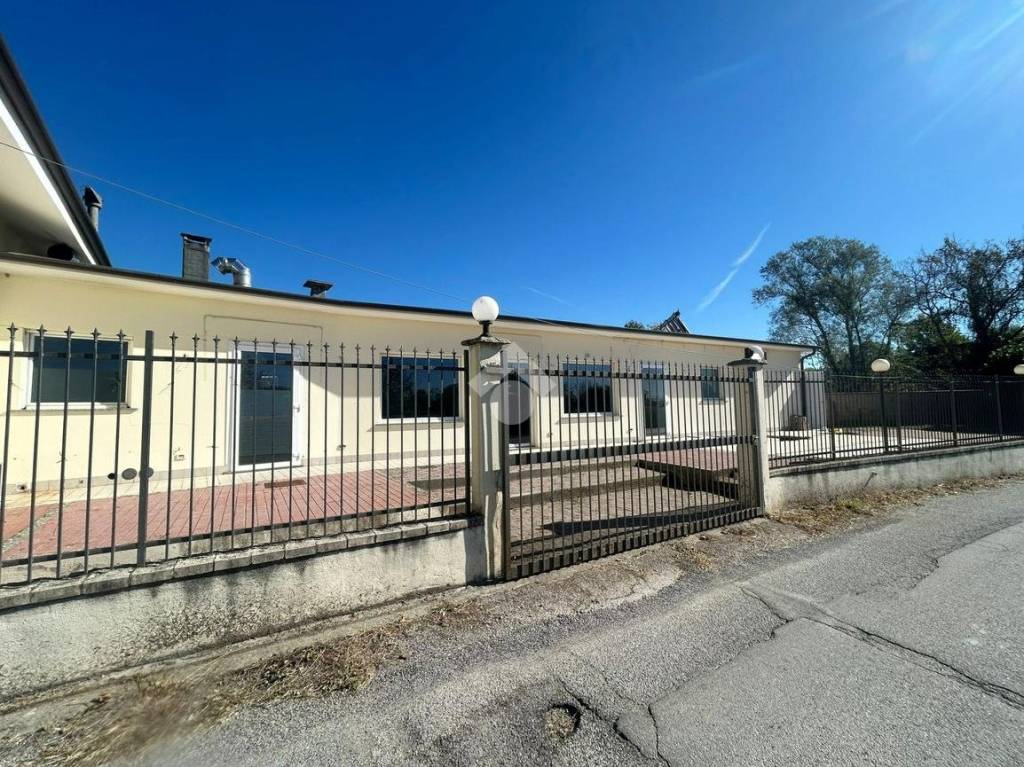 immagine annuncio 3 di 8