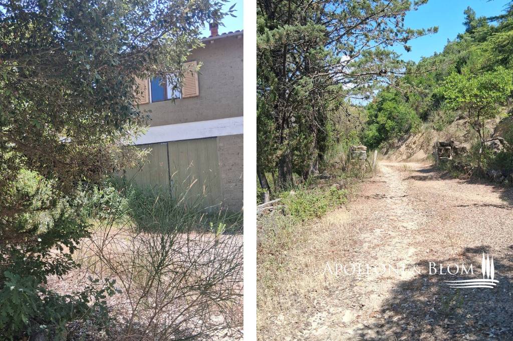 immagine annuncio 4 di 14