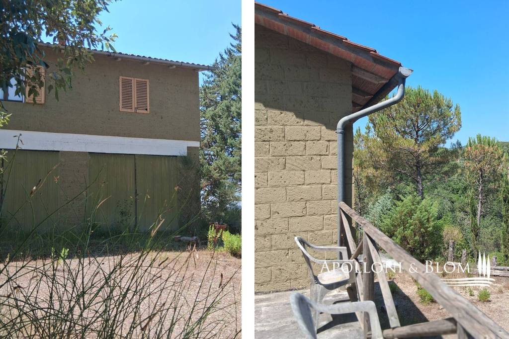 immagine annuncio 10 di 14