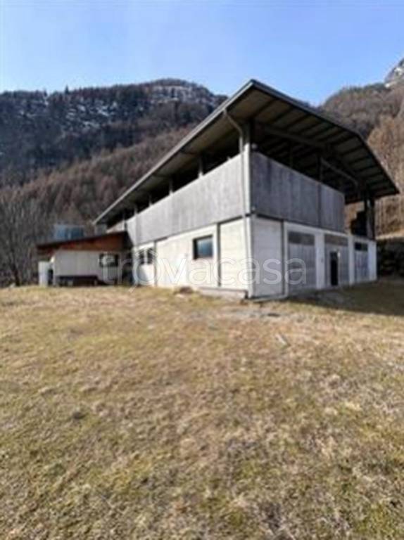 immagine annuncio 8 di 12