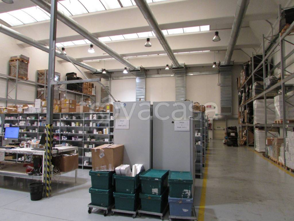 immagine annuncio 3 di 11