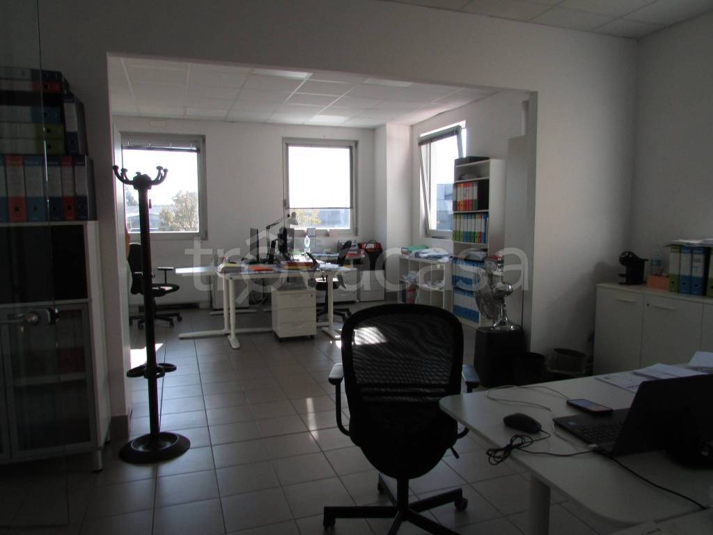 immagine annuncio 7 di 11