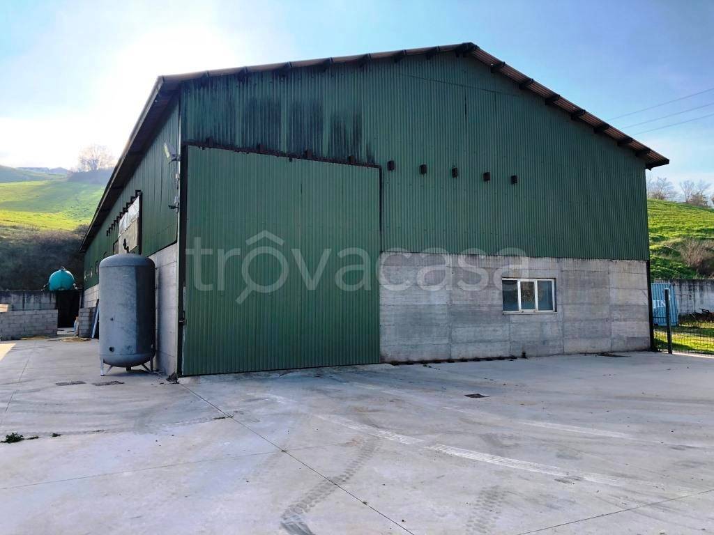 immagine annuncio 4 di 7