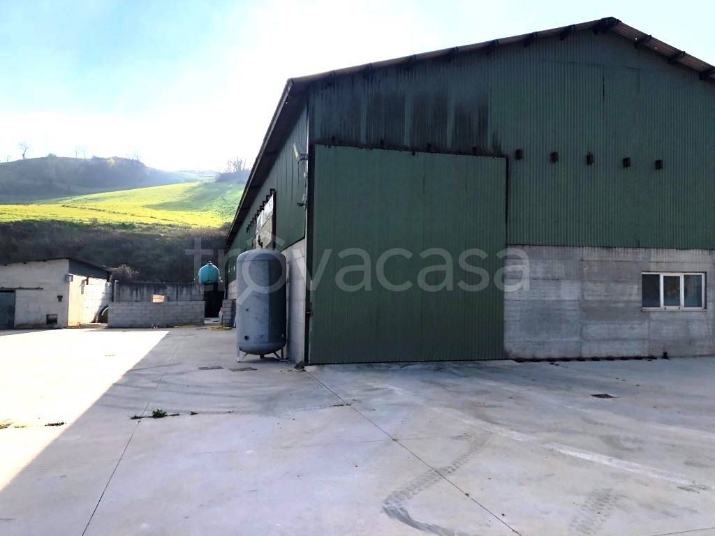 immagine annuncio 5 di 7