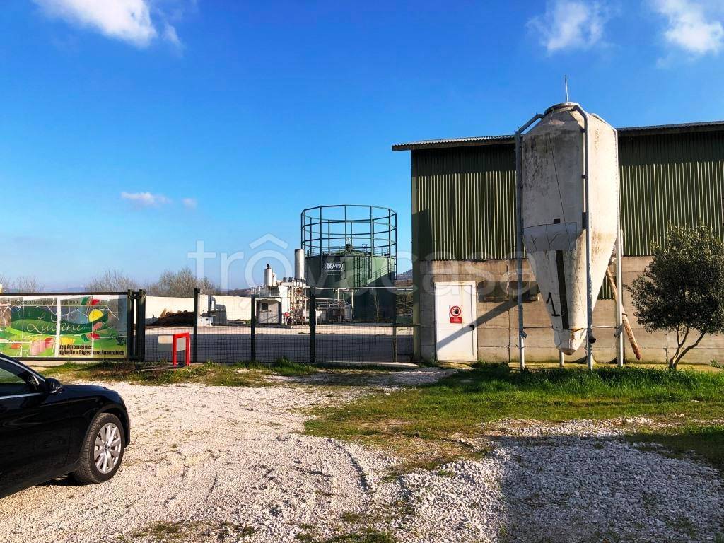 immagine annuncio 6 di 7