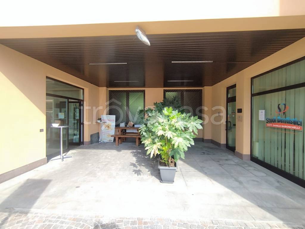 immagine annuncio 13 di 15