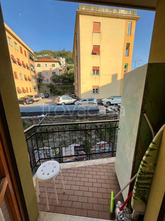immagine annuncio 12 di 14
