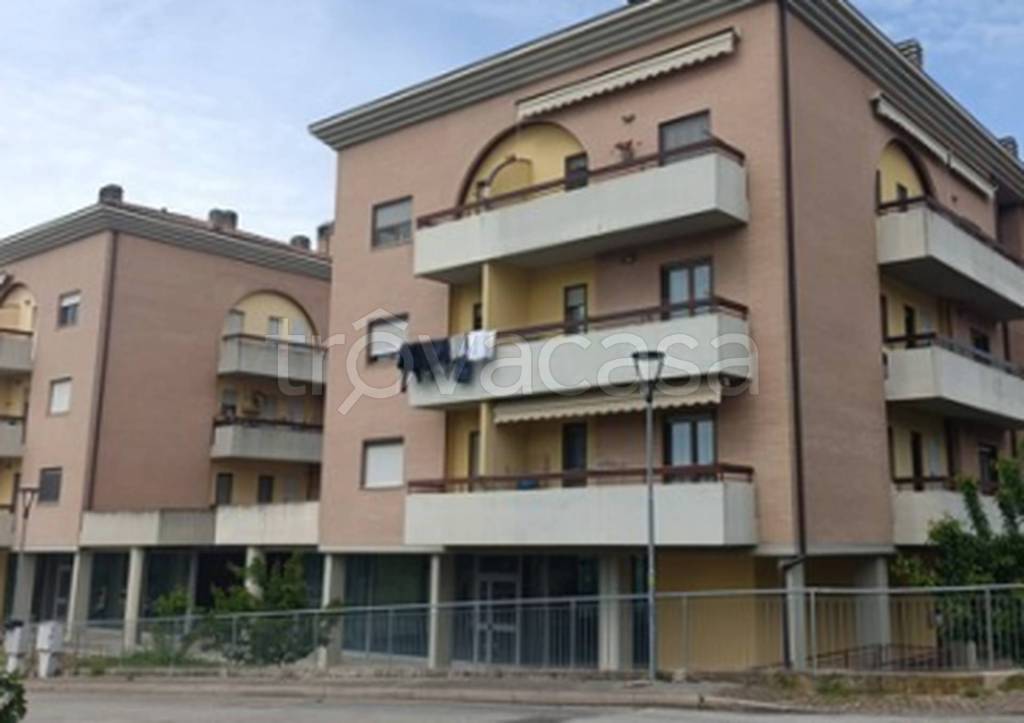 immagine annuncio 8 di 12