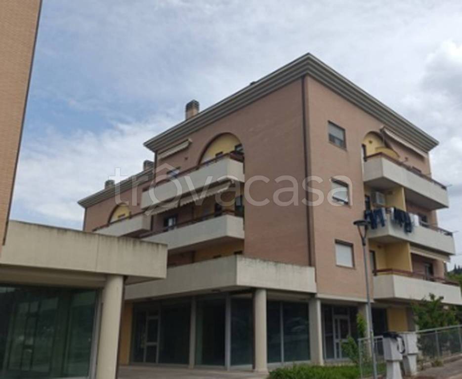 immagine annuncio 9 di 12