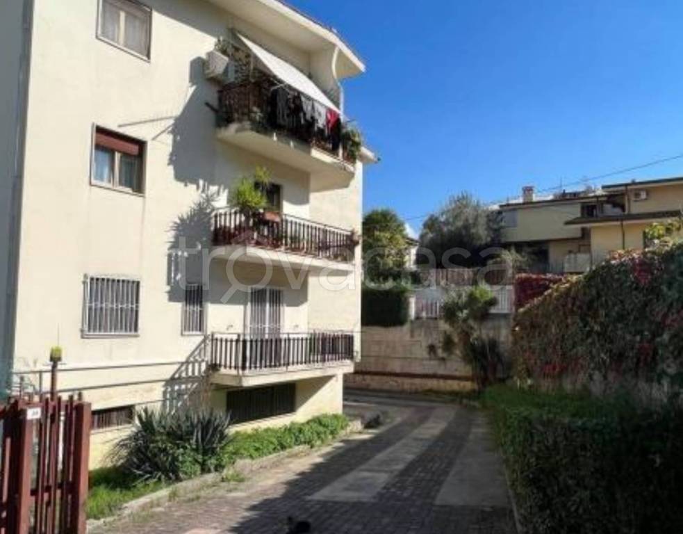 immagine annuncio 2 di 14