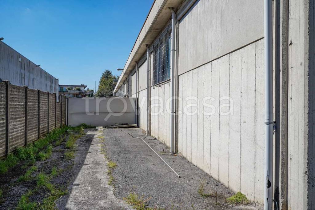 immagine annuncio 2 di 10