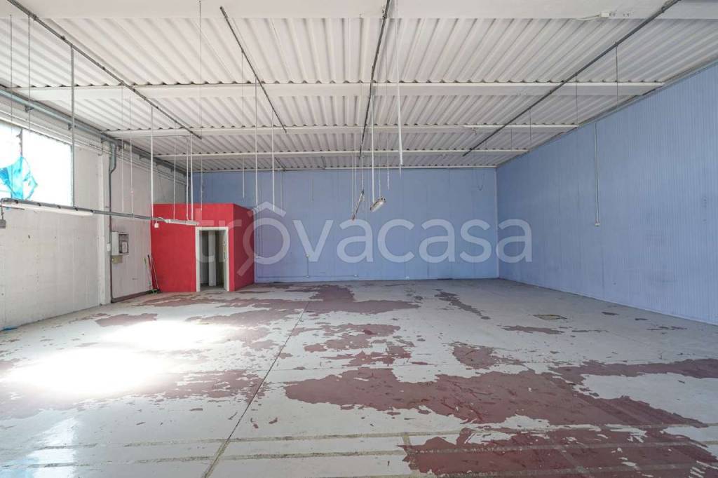 immagine annuncio 3 di 10