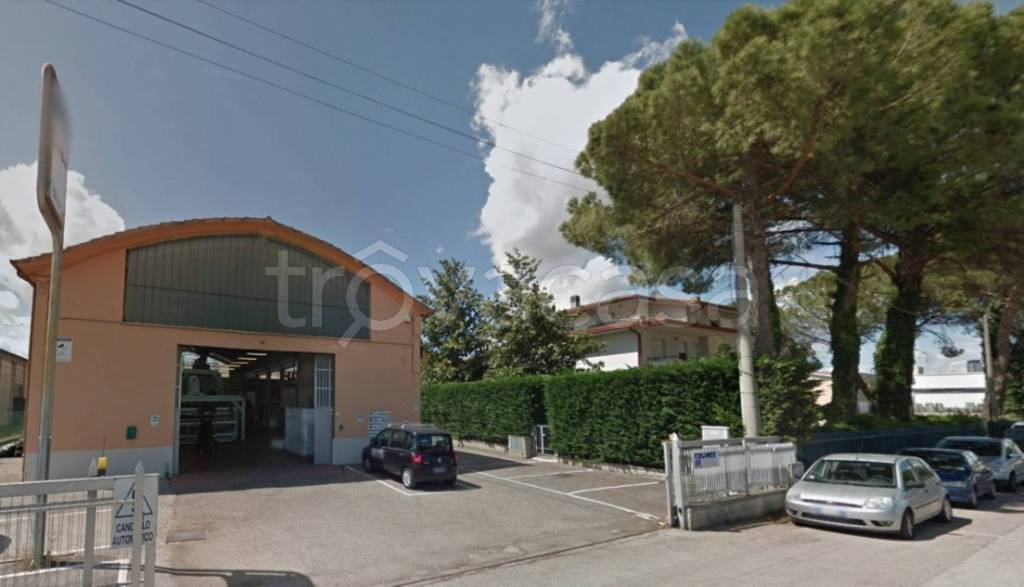 immagine annuncio 1 di 14