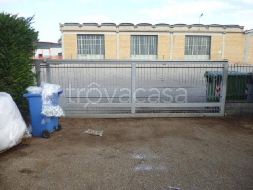 immagine annuncio 9 di 14