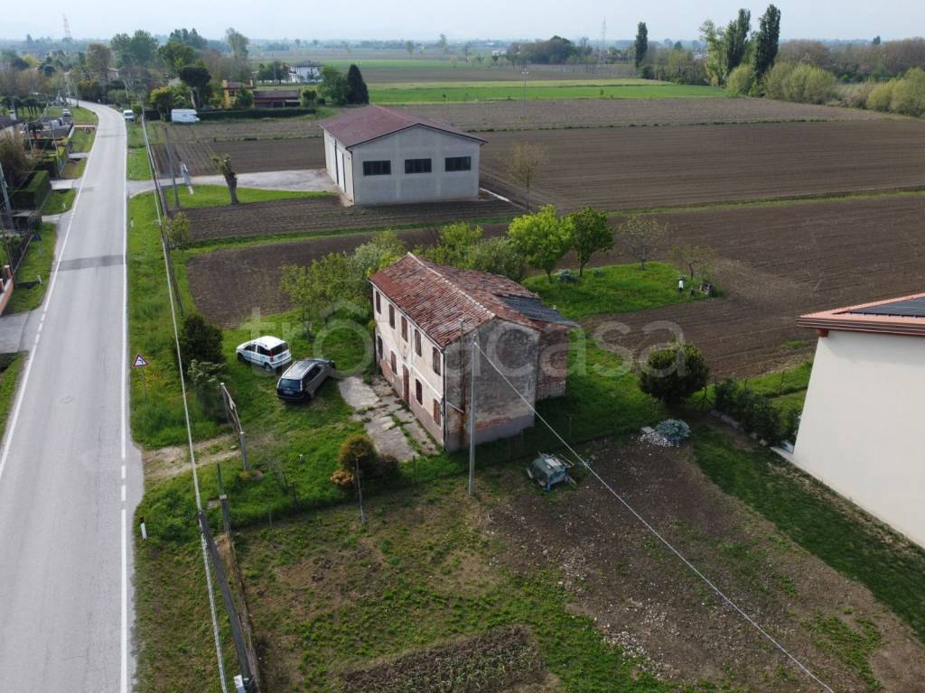 immagine annuncio 3 di 7