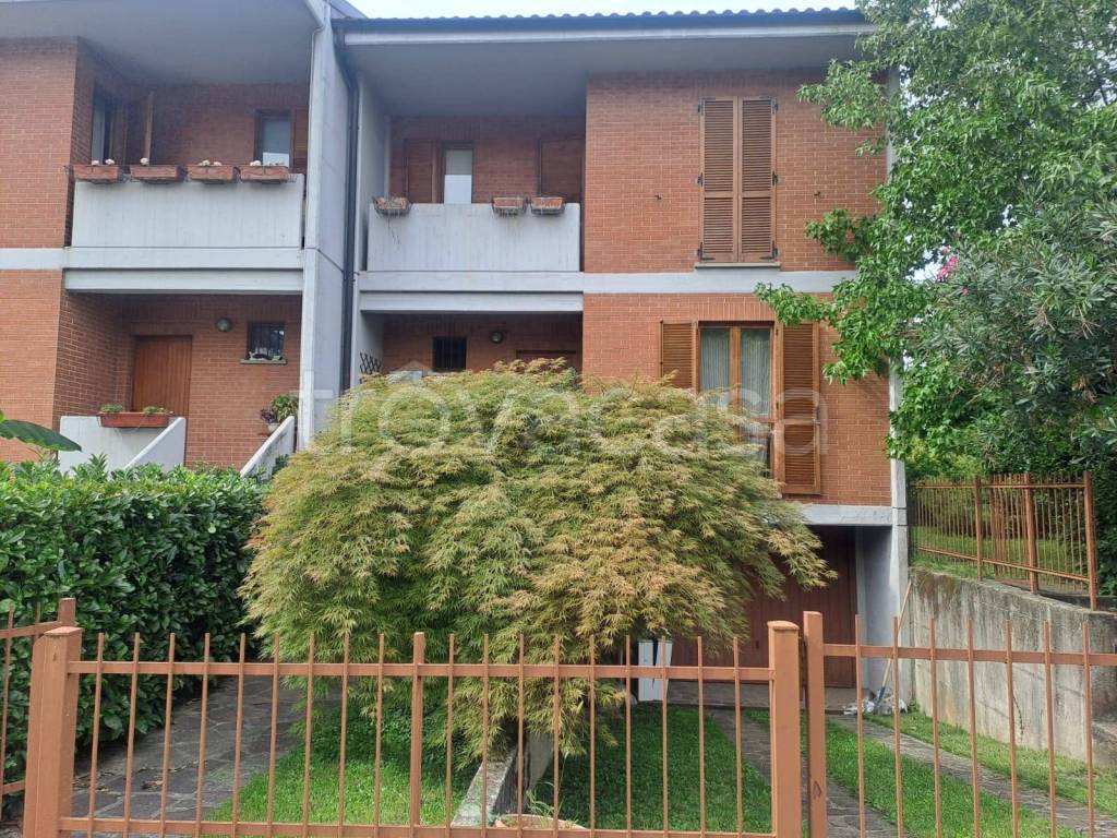 immagine annuncio 5 di 15