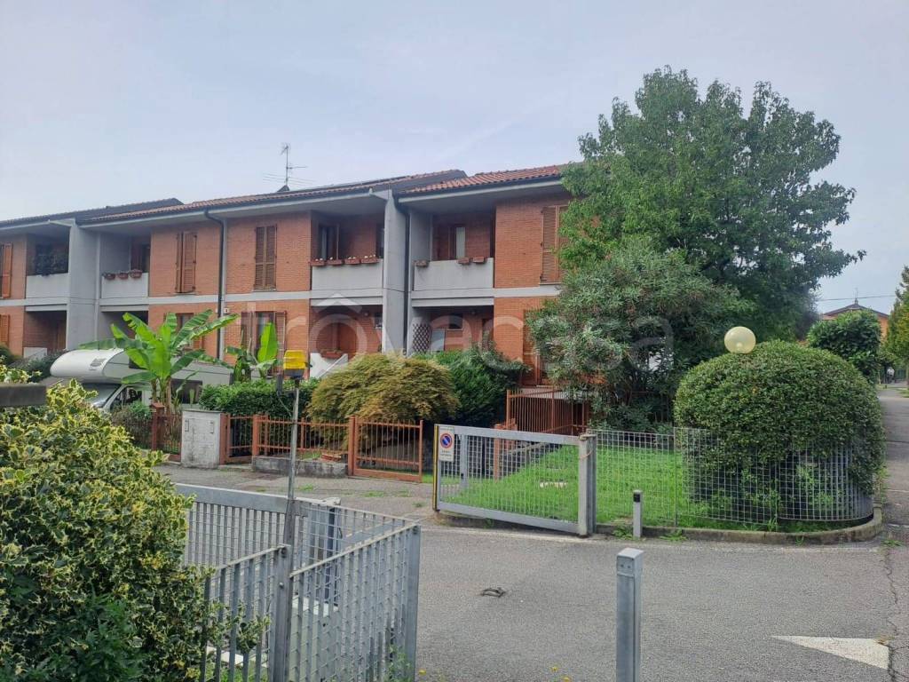 immagine annuncio 6 di 15