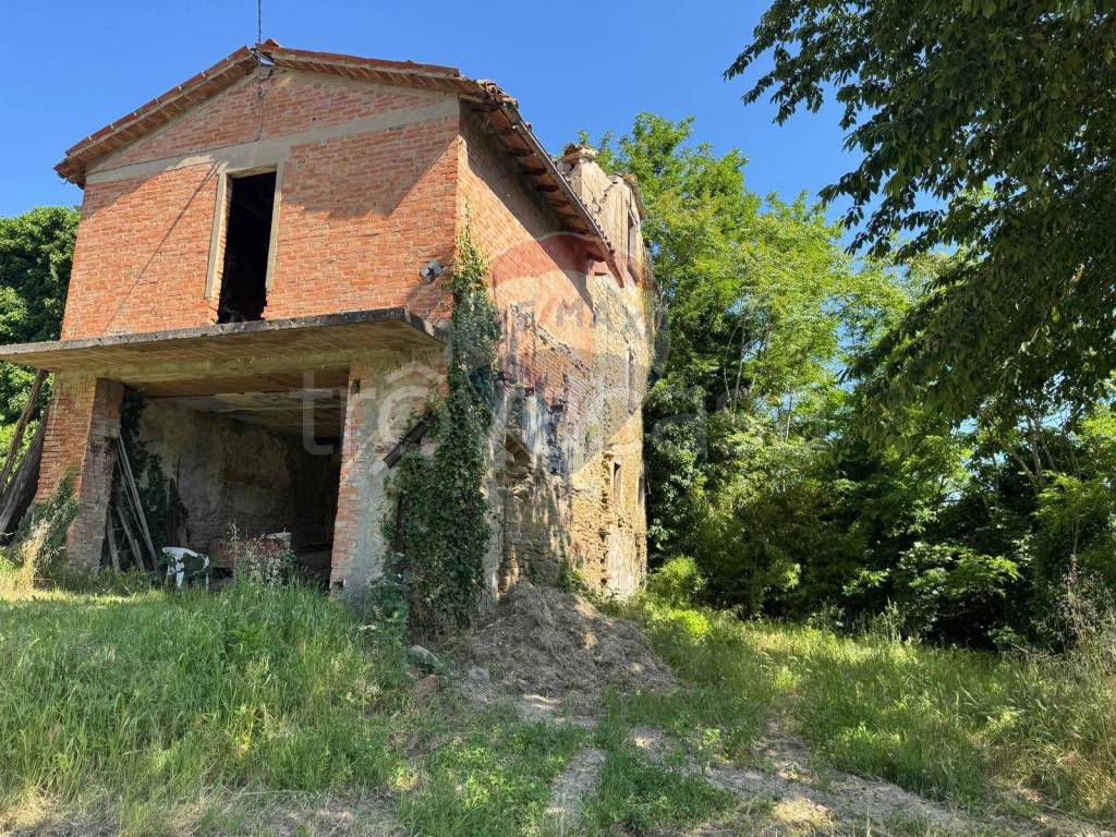 immagine annuncio 6 di 12