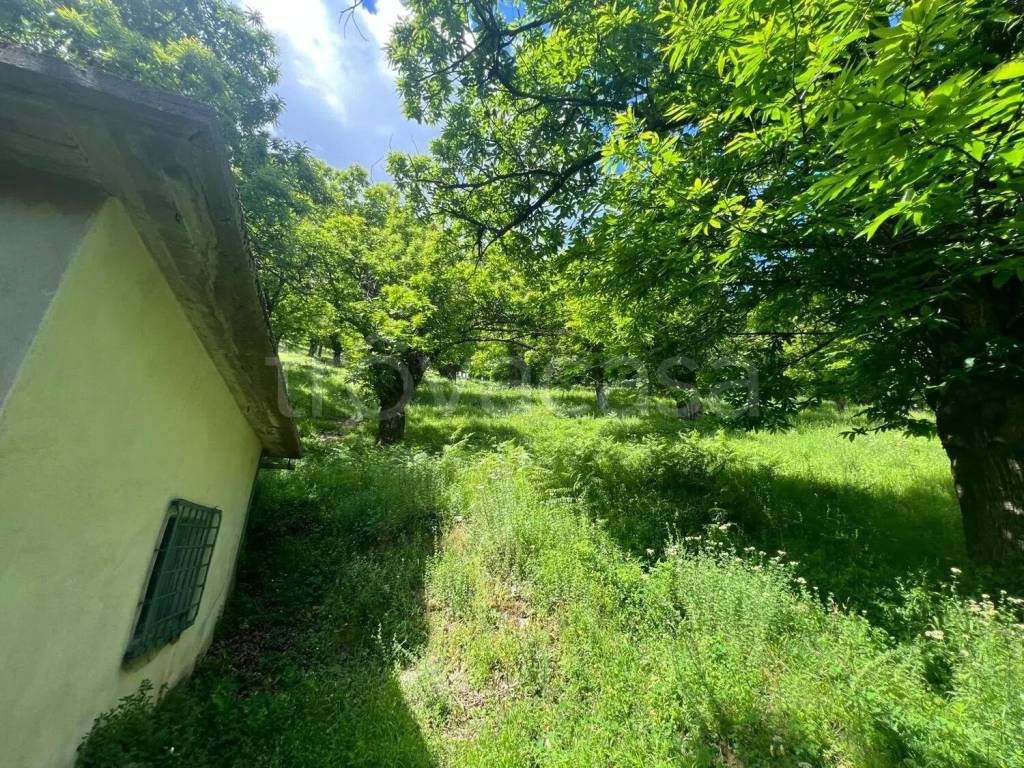 immagine annuncio 2 di 11