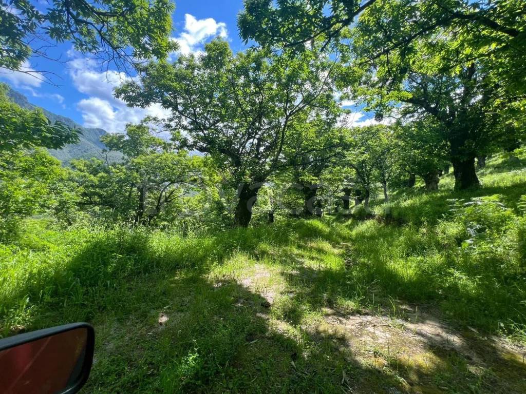 immagine annuncio 8 di 11