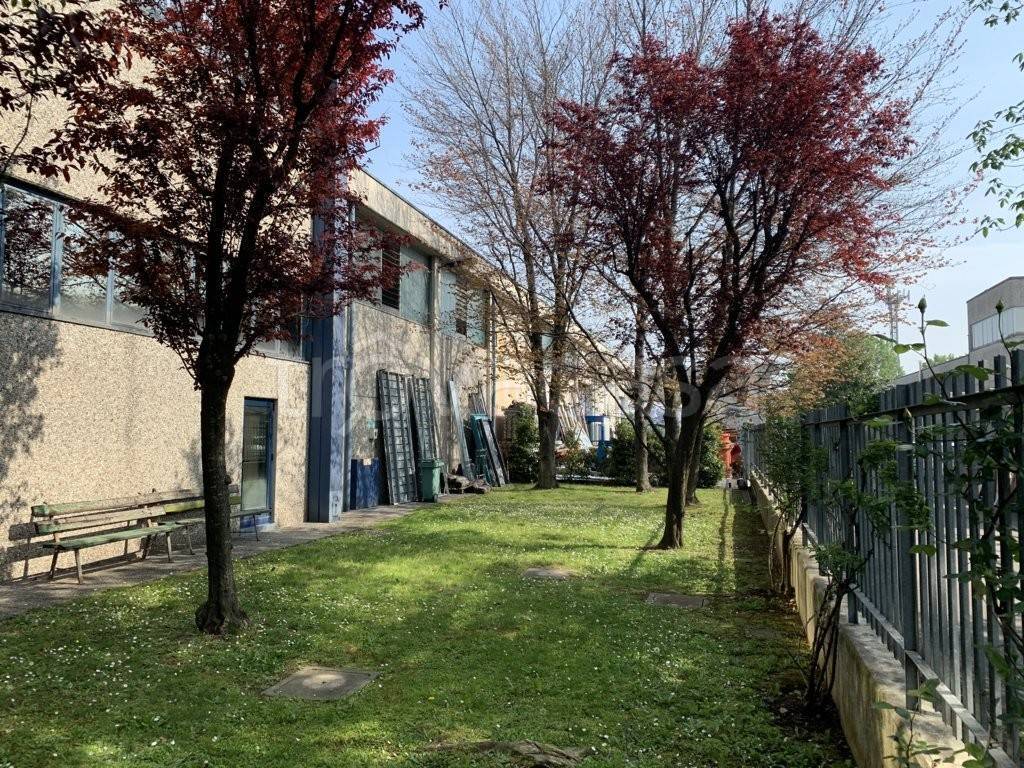 immagine annuncio 8 di 15