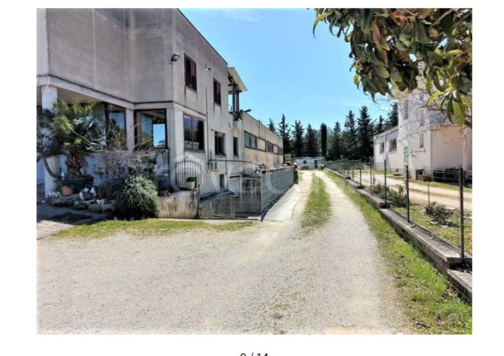 immagine annuncio 9 di 11