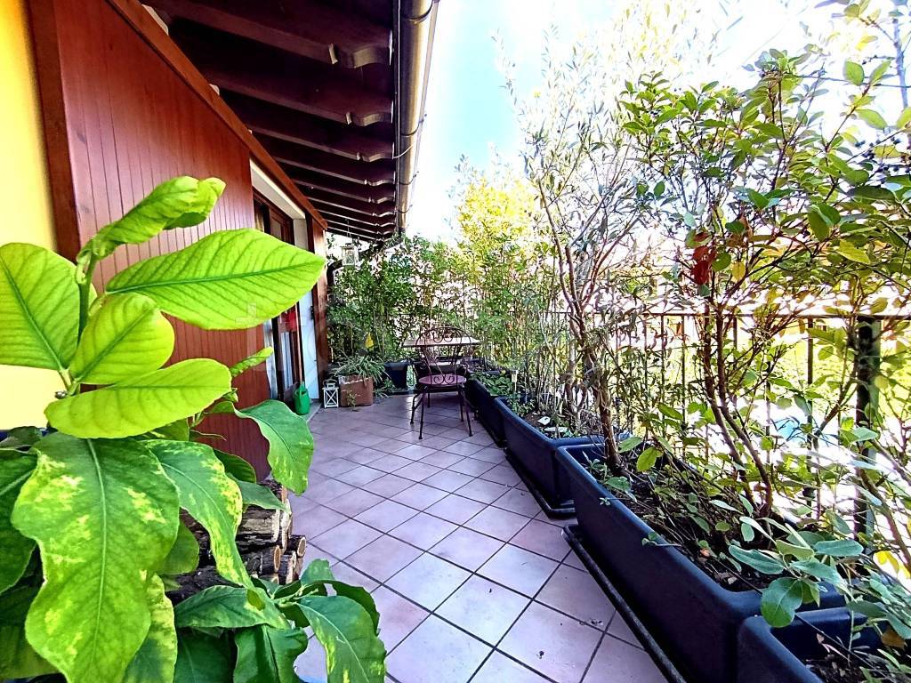 immagine annuncio 9 di 15