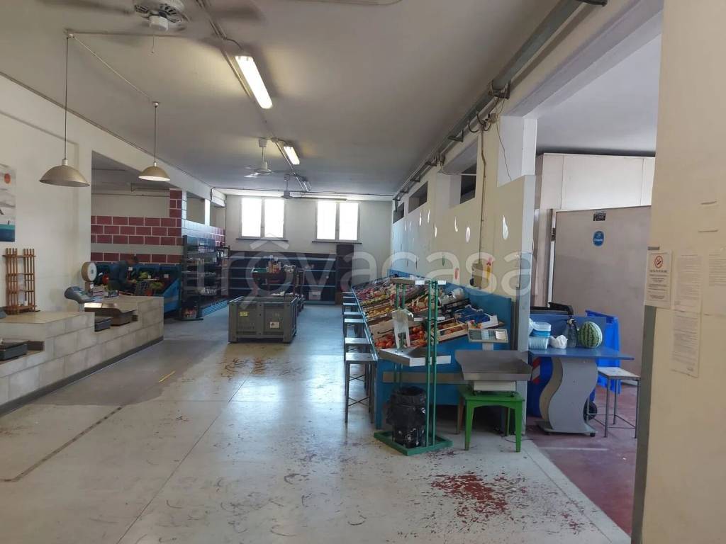 immagine annuncio 2 di 4