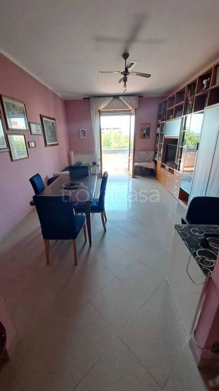 immagine annuncio 1 di 7