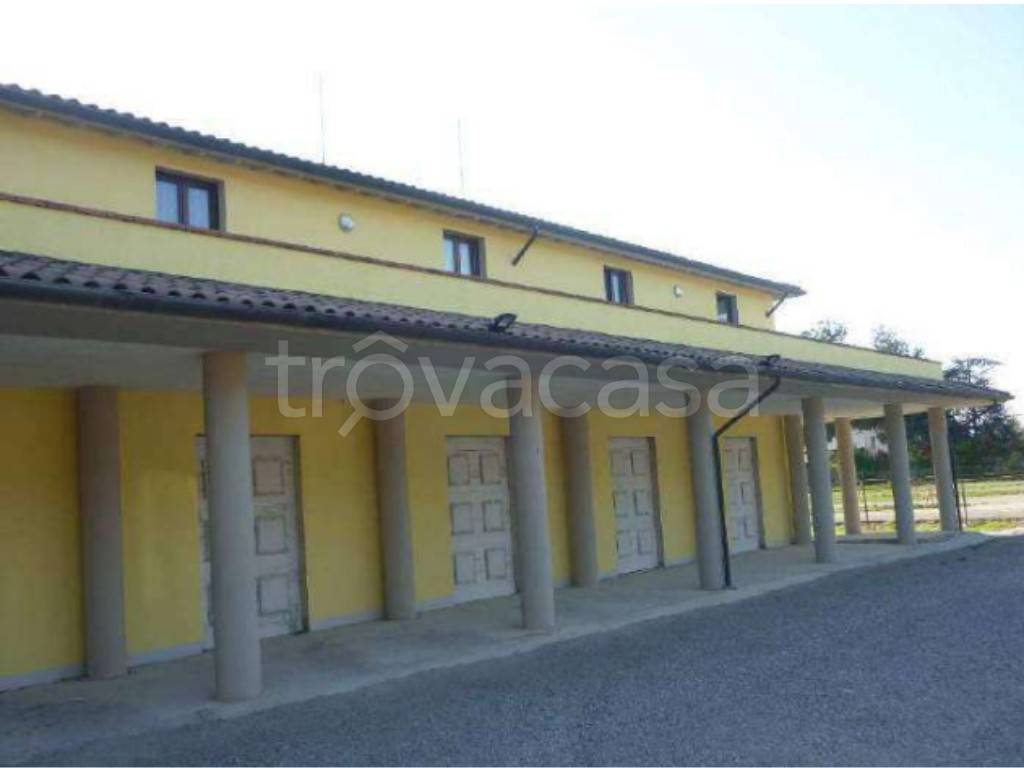 immagine annuncio 6 di 14