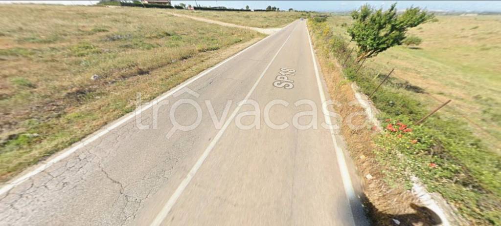 immagine annuncio 10 di 12
