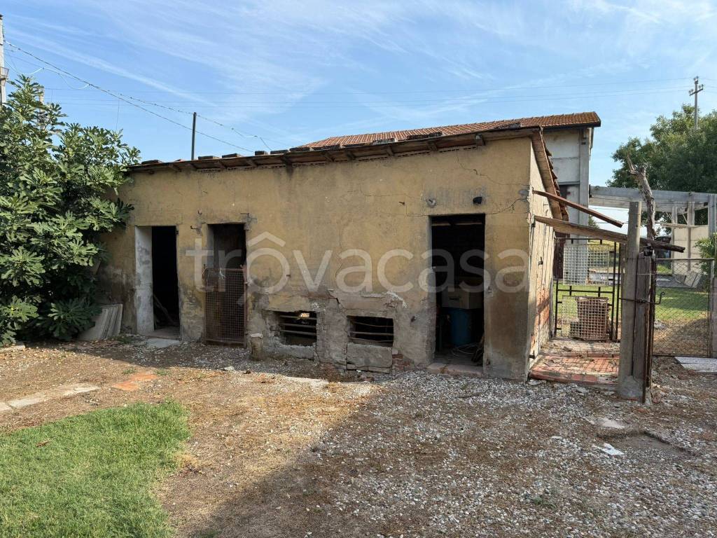 immagine annuncio 7 di 14