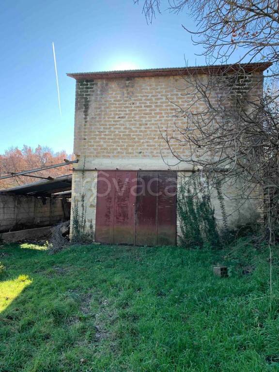 immagine annuncio 3 di 11