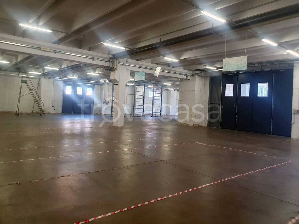 immagine annuncio 5 di 15