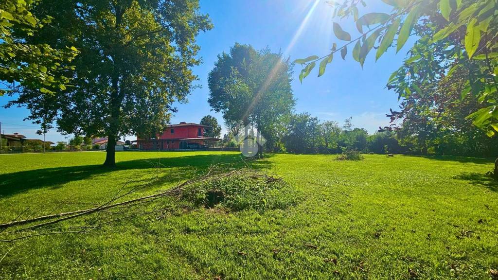 immagine annuncio 7 di 13