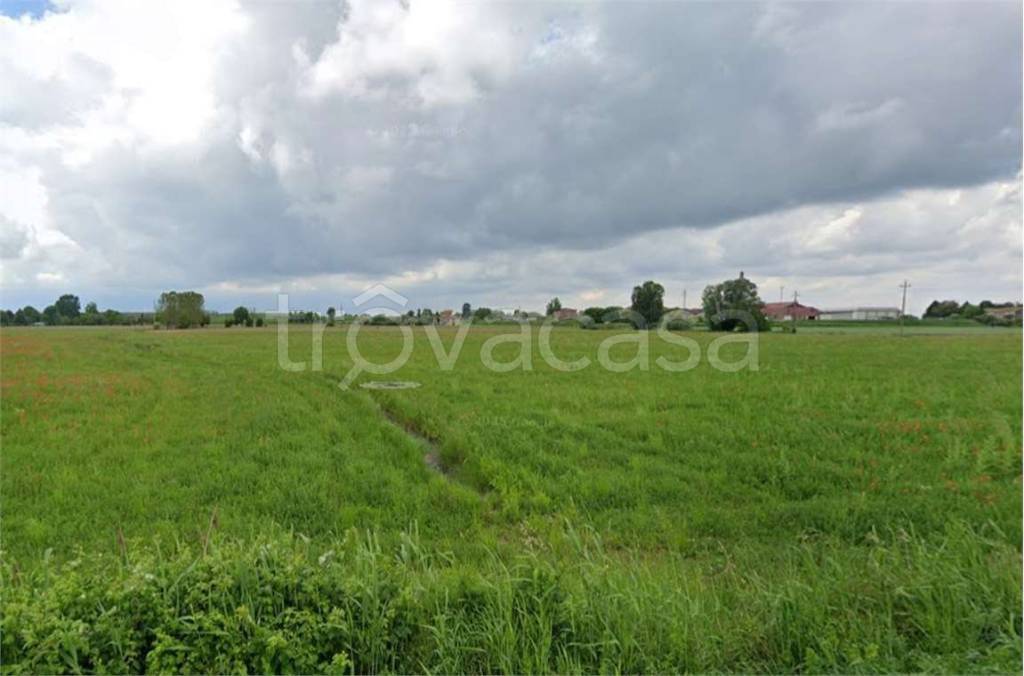 immagine annuncio 6 di 12