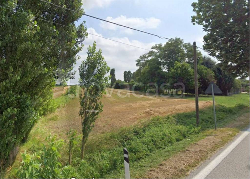 immagine annuncio 6 di 14