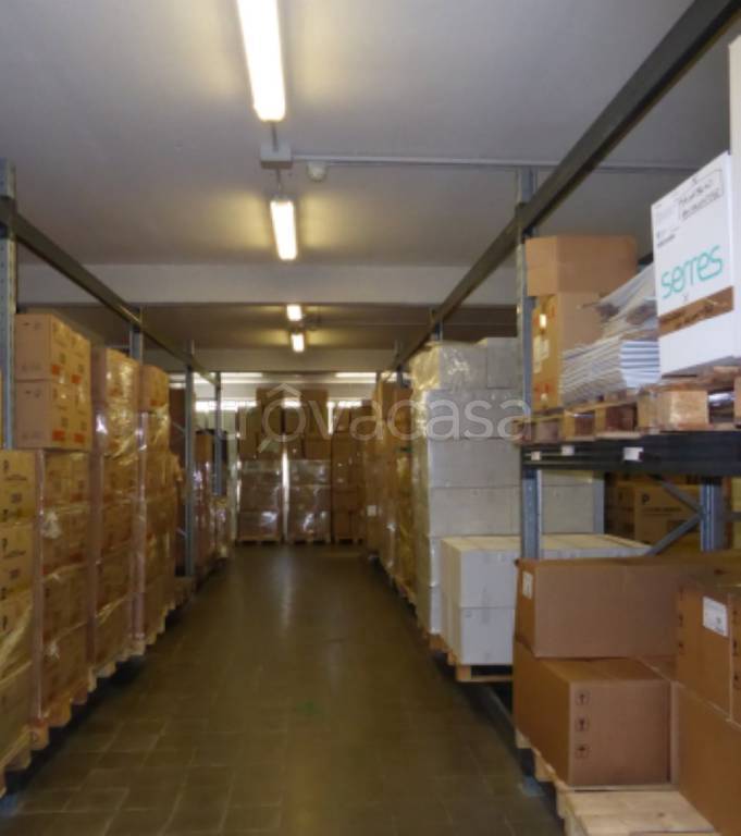 immagine annuncio 9 di 13