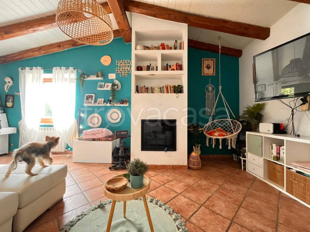 immagine annuncio 6 di 15