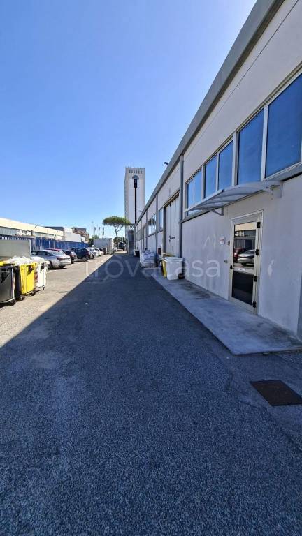immagine annuncio 4 di 12