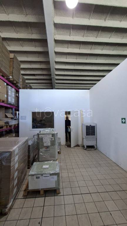 immagine annuncio 10 di 12